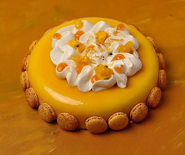 Entremets Trésor des Îles pour 8 à 9 personnes, création pâtissière exotique de la Maison Alban Guilmet à Caen.