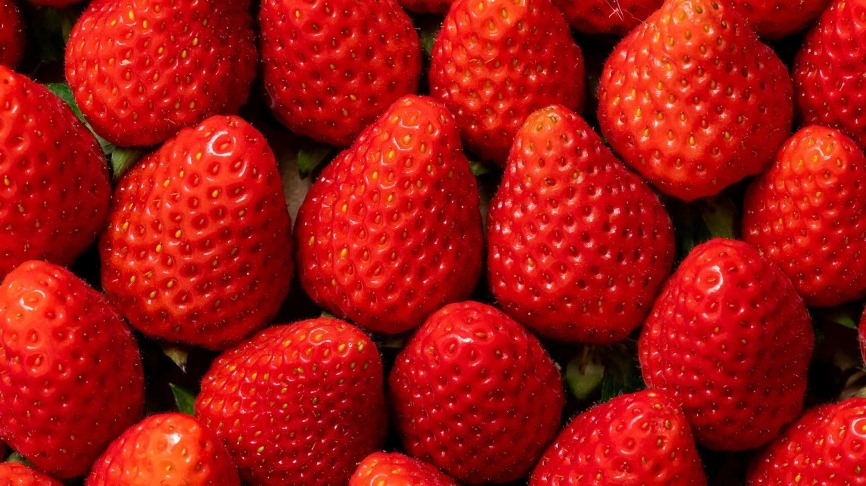 FRAISES