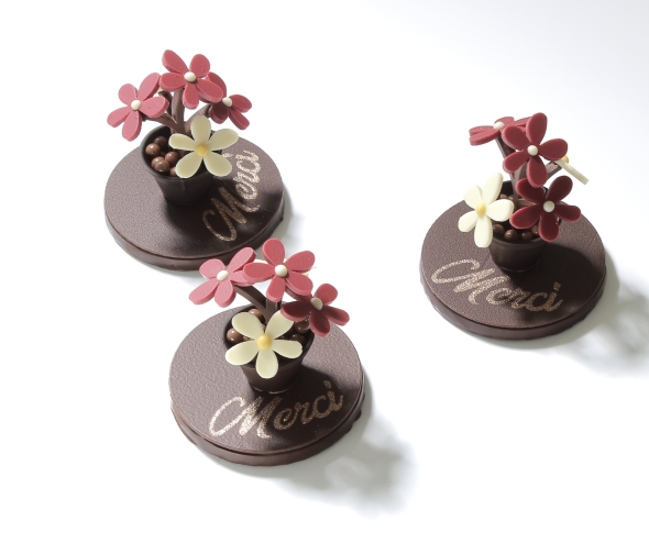 Pot de fleurs 2025