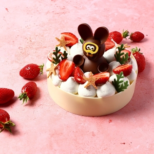 Fraisier 2026 6 pers