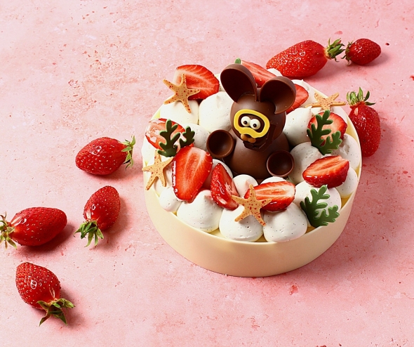 Fraisier 2026 8 pers