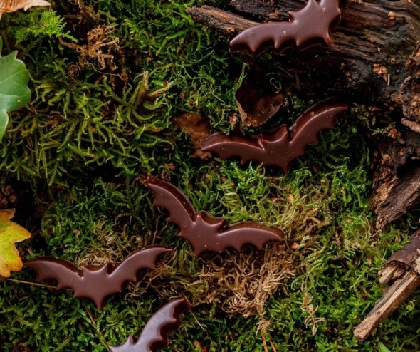 Sachet de chauves-souris en chocolat au lait et noir, garnies de praliné amande croustillant, création Halloween Alban Guilmet.