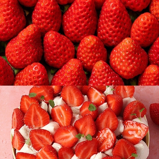 L’été touche à sa fin… mais pas la gourmandise ! ✨  Plus que quelques semaines pour découvrir ou redécouvrir nos créations estivales. 🍓  #caen #pâtisserie #normandie #patisseriefrançaise #albanguilmet